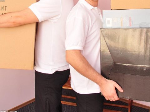 Free Moving Boxes — Must Go