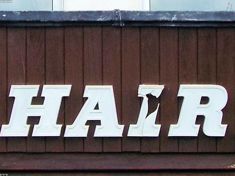 Mobile Hair Stylist (House Calls)