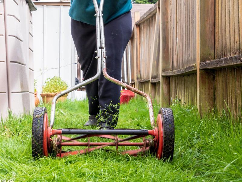 Self-Propelled Gas Lawn Mower